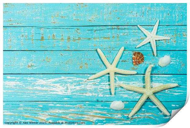 Summer decoration with starfish and seashell Print by Alex Winter