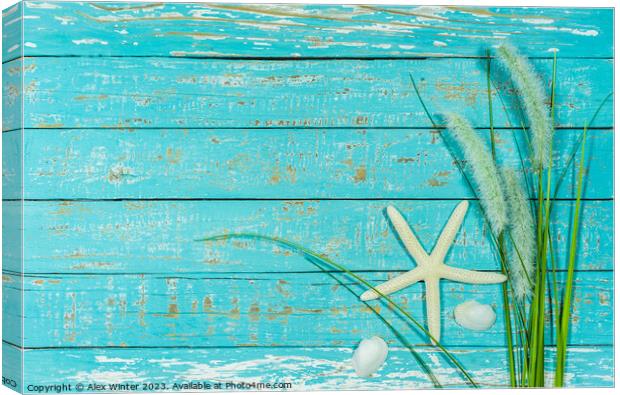 Starfish and reed decoration Canvas Print by Alex Winter
