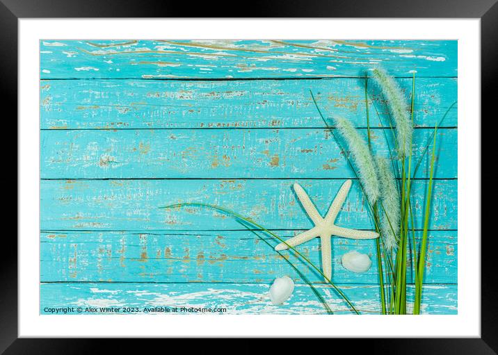 Starfish and reed decoration Framed Mounted Print by Alex Winter