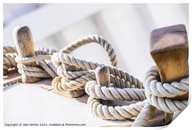 Close-up of moored ropes Print by Alex Winter