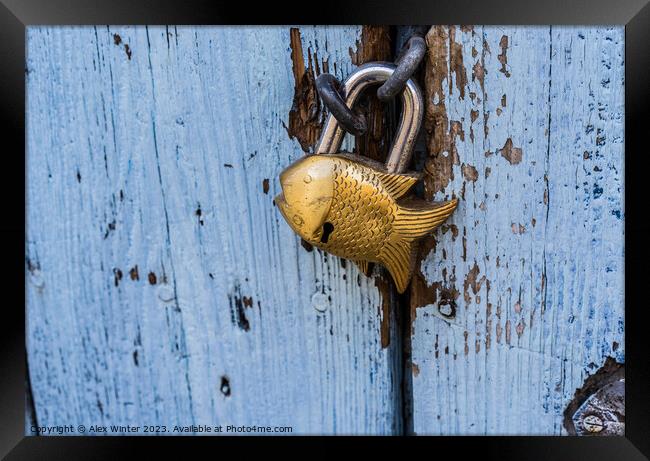 Close-up of closed padlock in fish design Framed Print by Alex Winter