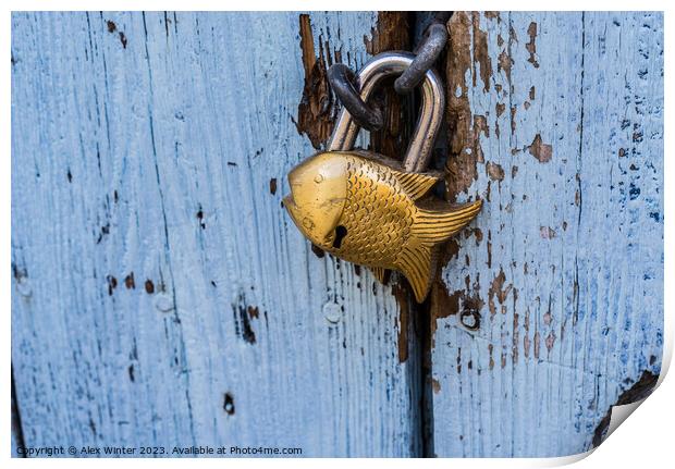 Close-up of closed padlock in fish design Print by Alex Winter
