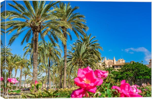 Palm trees Palma Canvas Print by Alex Winter