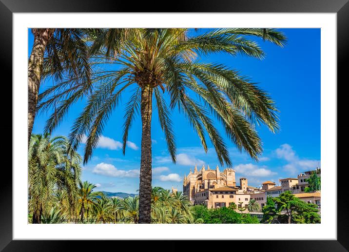 Palma Cathedral majorca Framed Mounted Print by Alex Winter