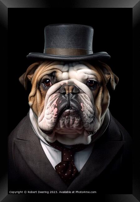 English bulldog portrait Framed Print by Robert Deering