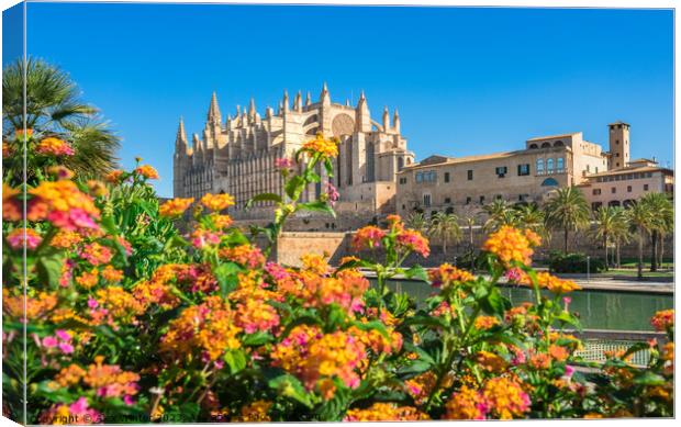 Beautiful view of Cathedral La Seu Canvas Print by Alex Winter