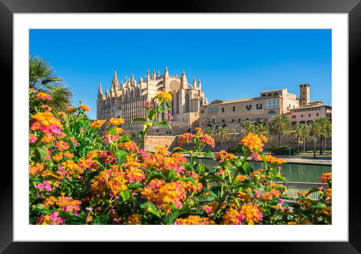 Beautiful view of Cathedral La Seu Framed Mounted Print by Alex Winter