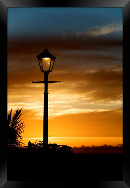 Silhouette of a street lamp Framed Print by Fabrizio Troiani