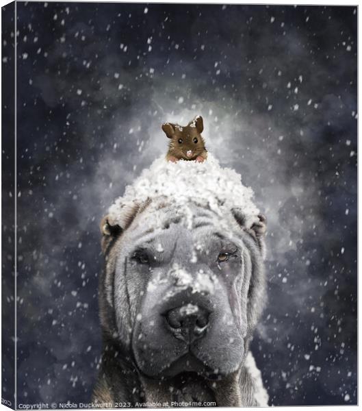 A Shar Pei dog in the snow Canvas Print by Nicola Duckworth