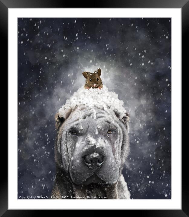 A Shar Pei dog in the snow Framed Mounted Print by Nicola Duckworth