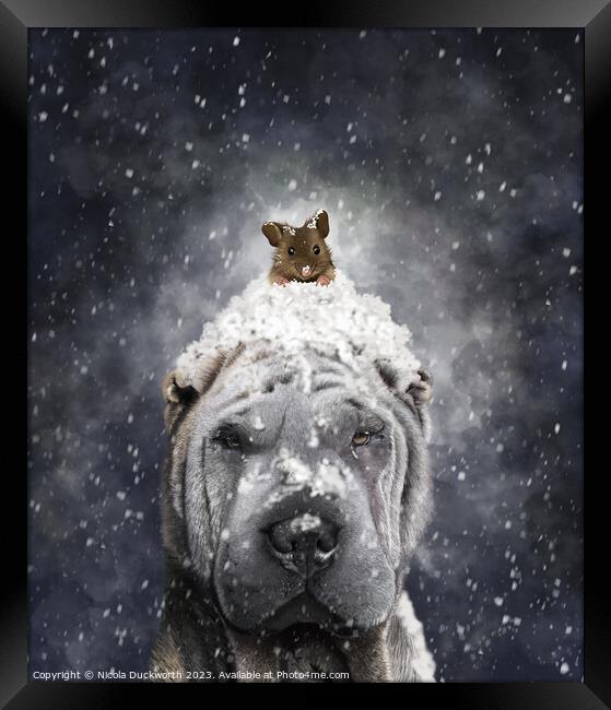 A Shar Pei dog in the snow Framed Print by Nicola Duckworth
