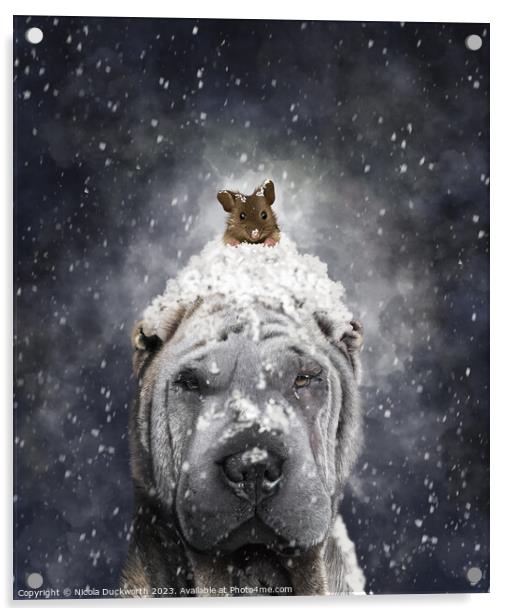 A Shar Pei dog in the snow Acrylic by Nicola Duckworth