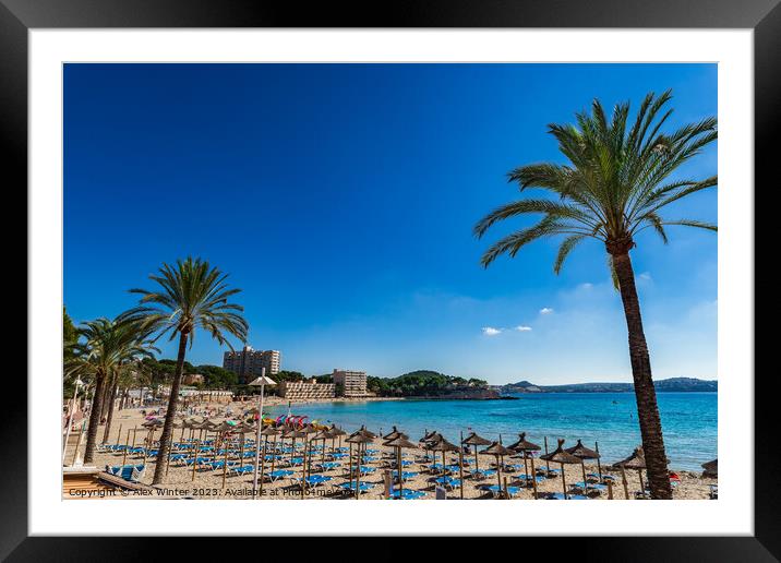 Peguera sand beach Mallorca  Framed Mounted Print by Alex Winter
