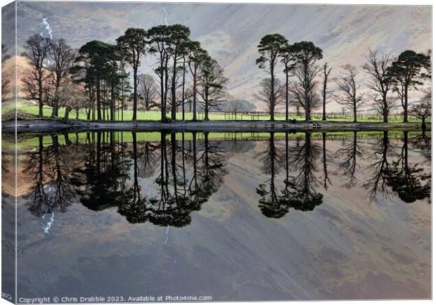 Buttermere reflections Canvas Print by Chris Drabble