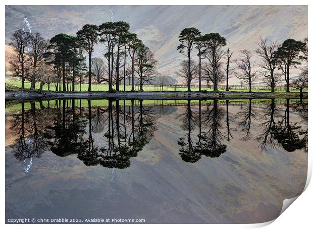 Buttermere reflections Print by Chris Drabble