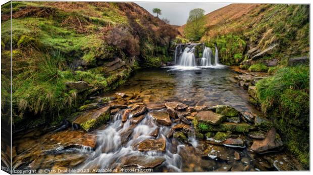 Fairbrook in Spring Canvas Print by Chris Drabble