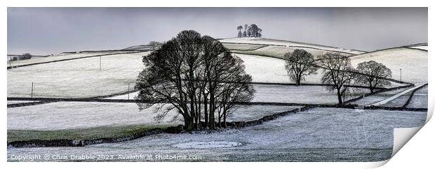 Moat Low, winter panoramic Print by Chris Drabble
