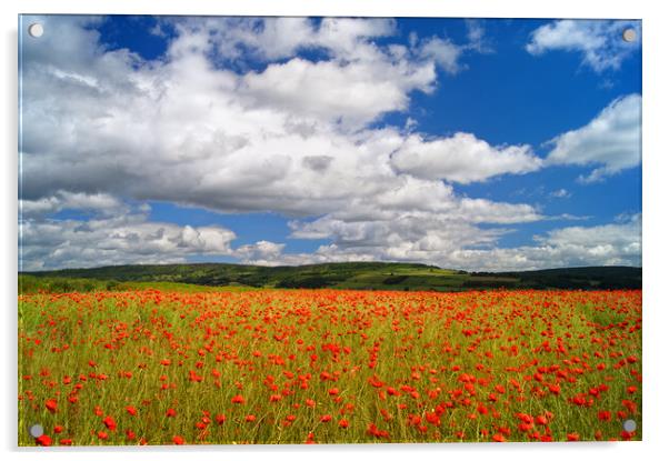 Poppy Field near Baslow, Derbyshire  Acrylic by Darren Galpin