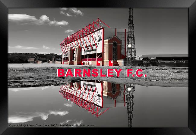 Barnsley Football Club Framed Print by Alison Chambers