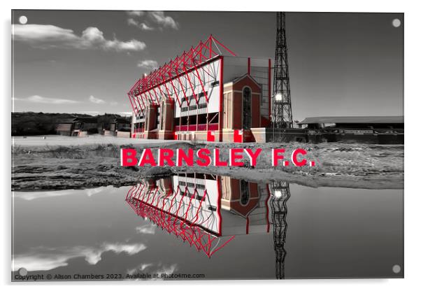 Barnsley Football Club Acrylic by Alison Chambers