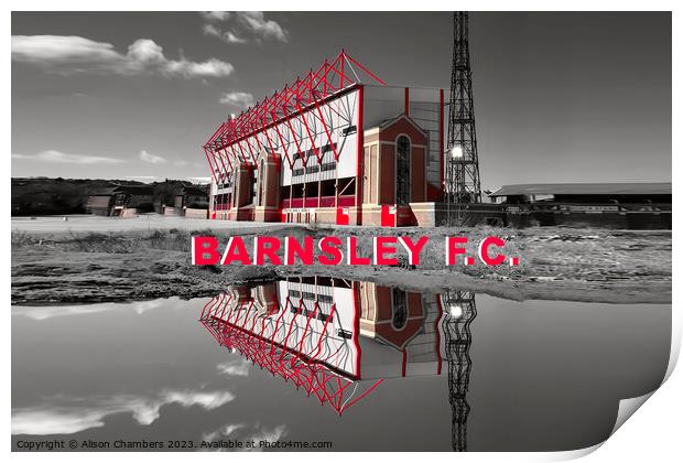 Barnsley Football Club Print by Alison Chambers
