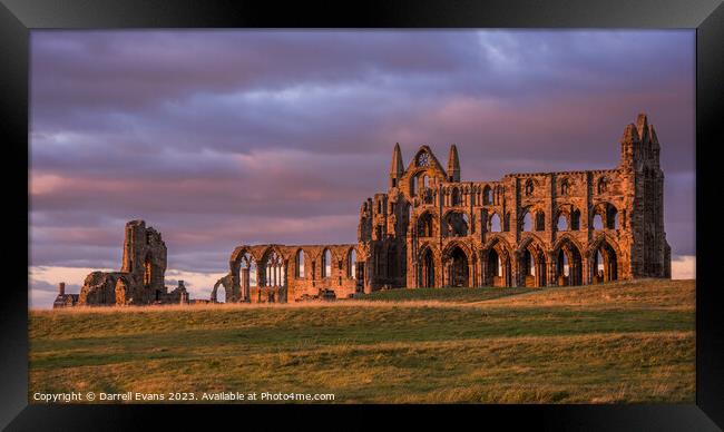 Whitby Abbey Framed Print by Darrell Evans