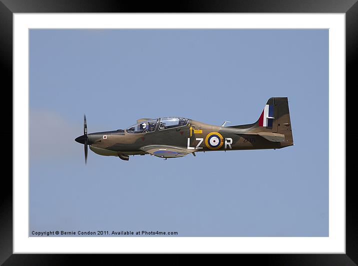 Tucano Framed Mounted Print by Bernie Condon