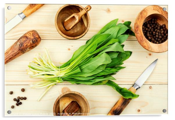 Fresh wild garlic, spring herbs Acrylic by Mykola Lunov Mykola
