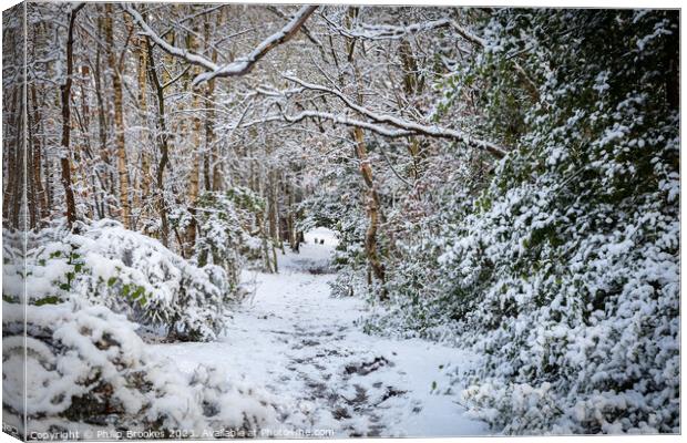 Snowy Path on Bidston Hill Canvas Print by Philip Brookes