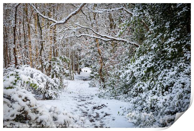 Snowy Path on Bidston Hill Print by Philip Brookes
