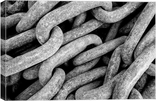 Nautical Chain Links Black and White Canvas Print by Tim Hill