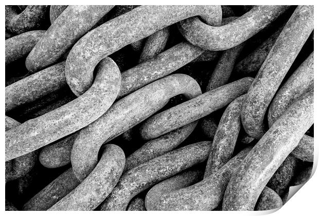 Nautical Chain Links Black and White Print by Tim Hill