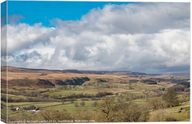 Towards Holwick and Cronkley, Teesdale Canvas Print by Richard Laidler