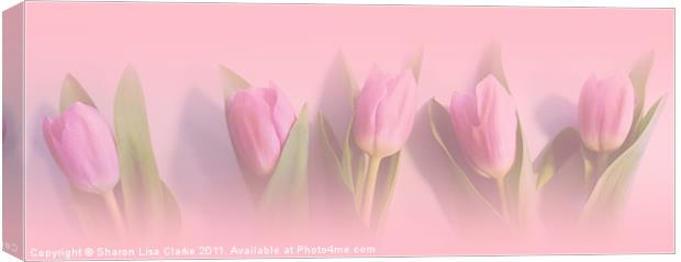 Pretty in Pink Canvas Print by Sharon Lisa Clarke