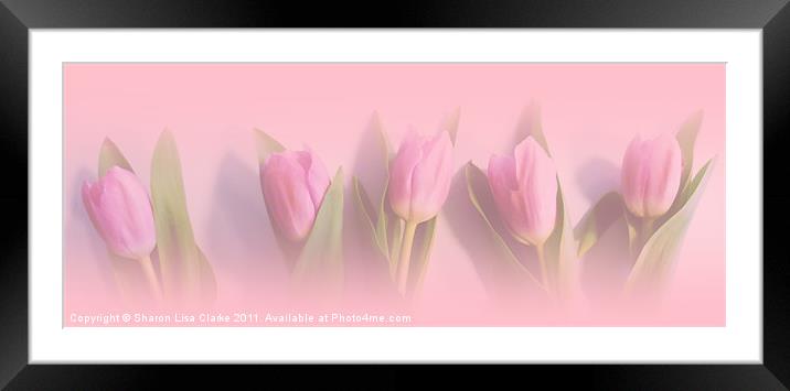 Pretty in Pink Framed Mounted Print by Sharon Lisa Clarke