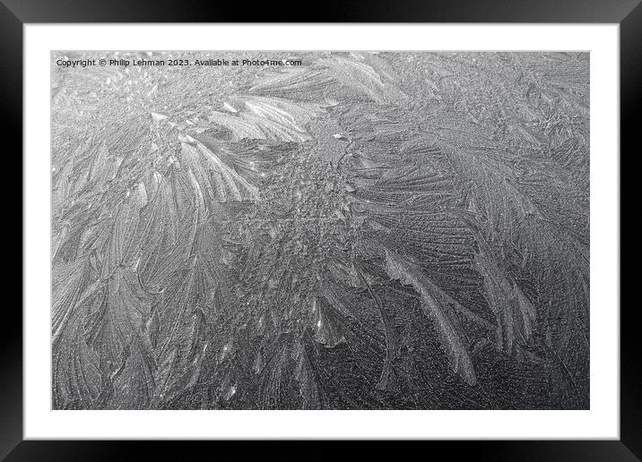 Frost Feathers 4A2 Framed Mounted Print by Philip Lehman