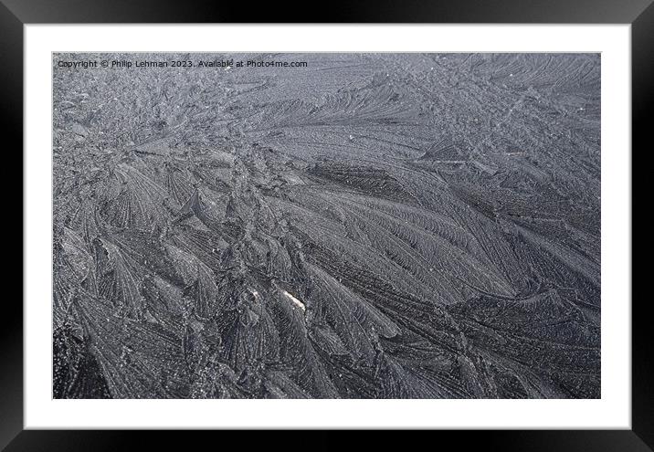 Frost Feathers 24A Framed Mounted Print by Philip Lehman