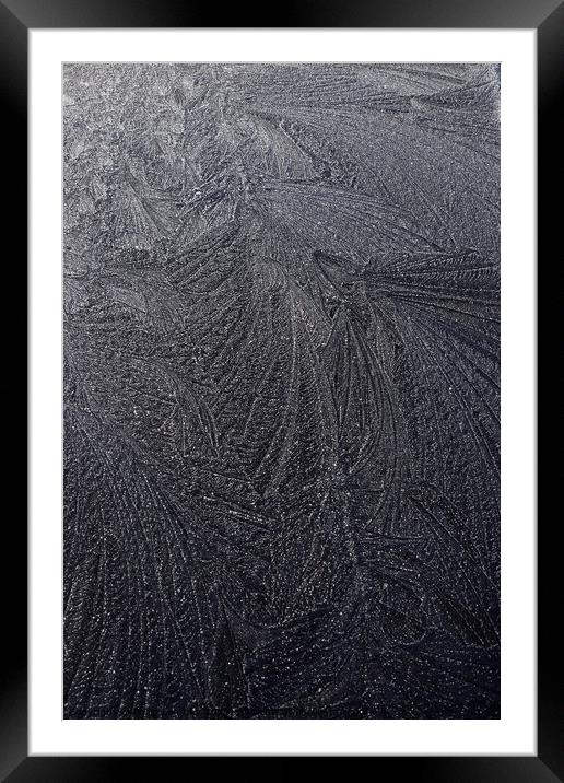 Frost Feathers 33A Framed Mounted Print by Philip Lehman
