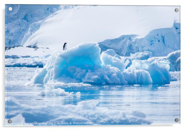 Adélie penguin on an iceberg Acrylic by Sebastien Greber