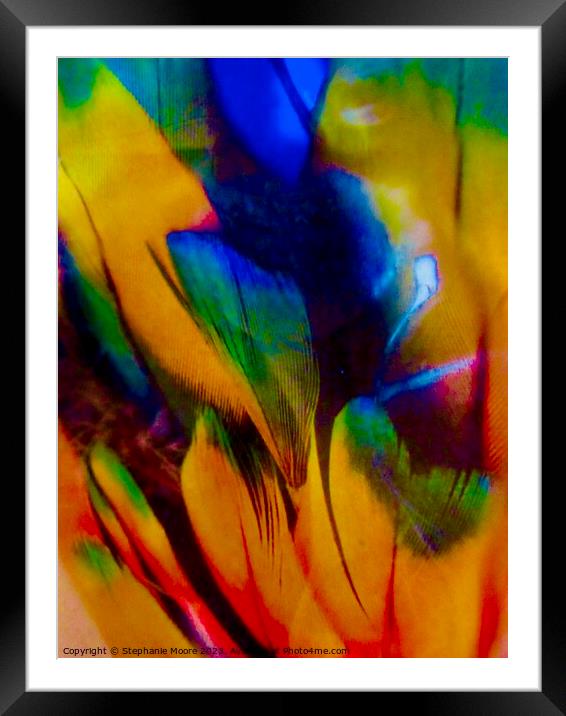 Abstract 113 Framed Mounted Print by Stephanie Moore