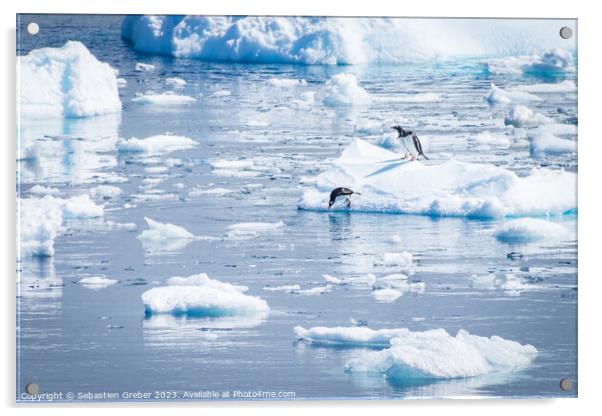 Gentoo penguin diving from an Iceberg Acrylic by Sebastien Greber