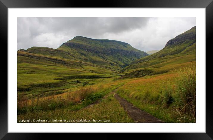 Footpath, Cathedral Peak Nature Reserve Framed Mounted Print by Adrian Turnbull-Kemp