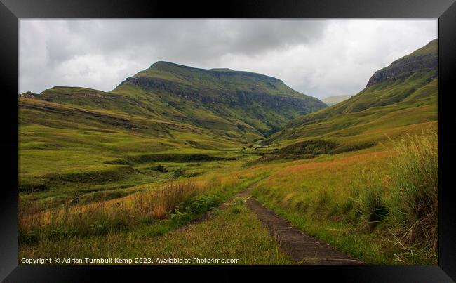 Footpath, Cathedral Peak Nature Reserve Framed Print by Adrian Turnbull-Kemp