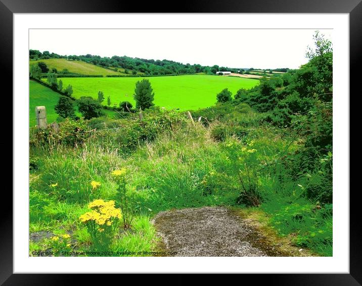 Greens of Douglas Framed Mounted Print by Stephanie Moore