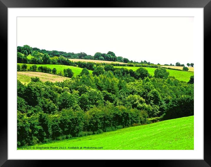 Greens of Douglas Framed Mounted Print by Stephanie Moore