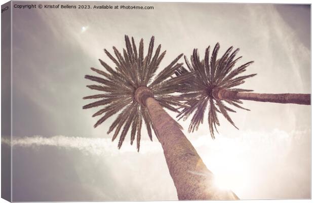 Low angle view on palm trees in a tropical travel  Canvas Print by Kristof Bellens