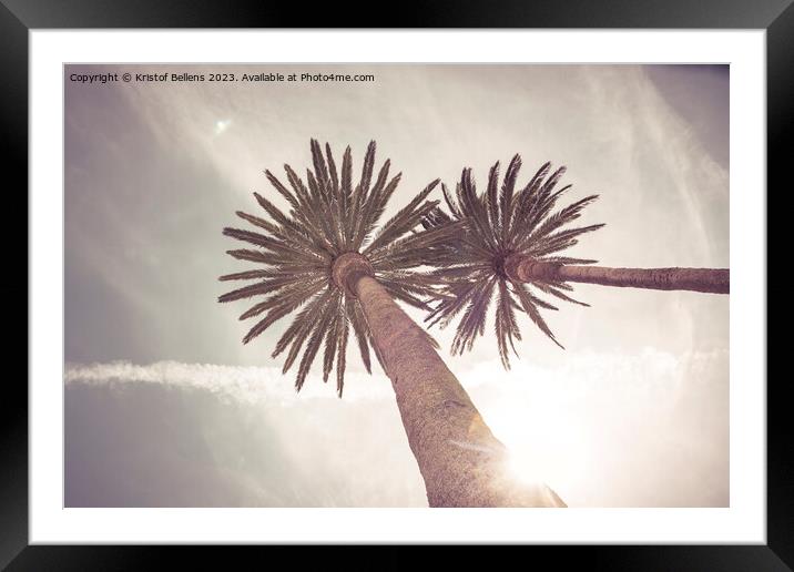 Low angle view on palm trees in a tropical travel  Framed Mounted Print by Kristof Bellens