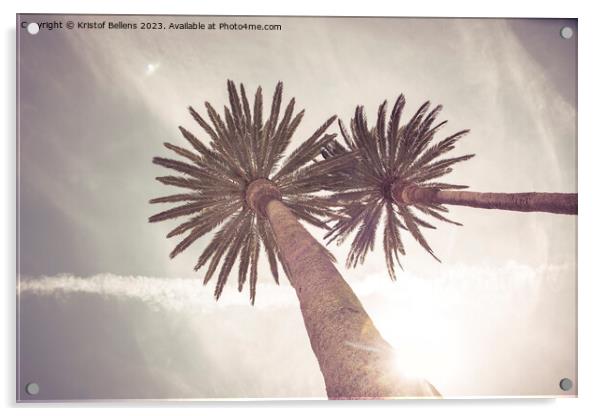 Low angle view on palm trees in a tropical travel  Acrylic by Kristof Bellens