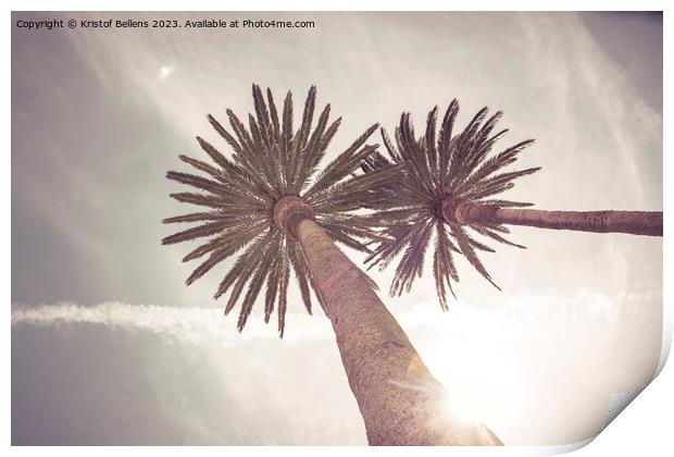 Low angle view on palm trees in a tropical travel  Print by Kristof Bellens