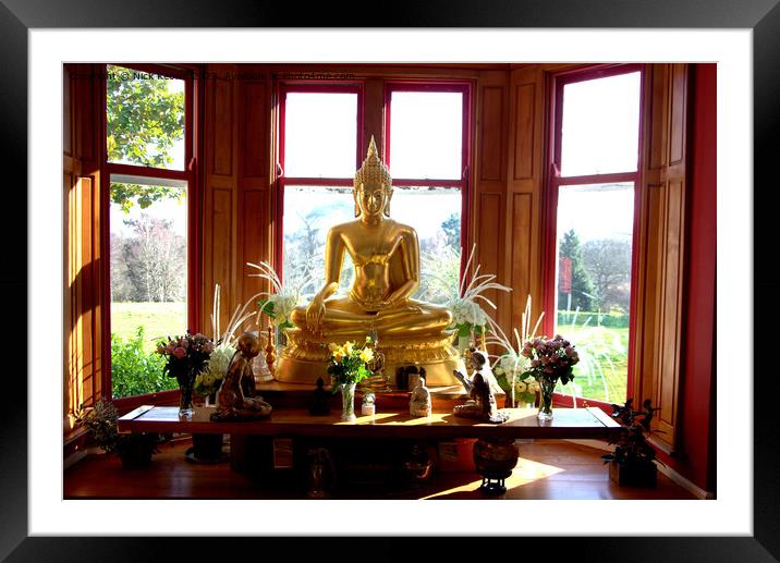 Buddha at Chithurst Framed Mounted Print by Nick Keown